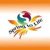 Spring to Life GmbH